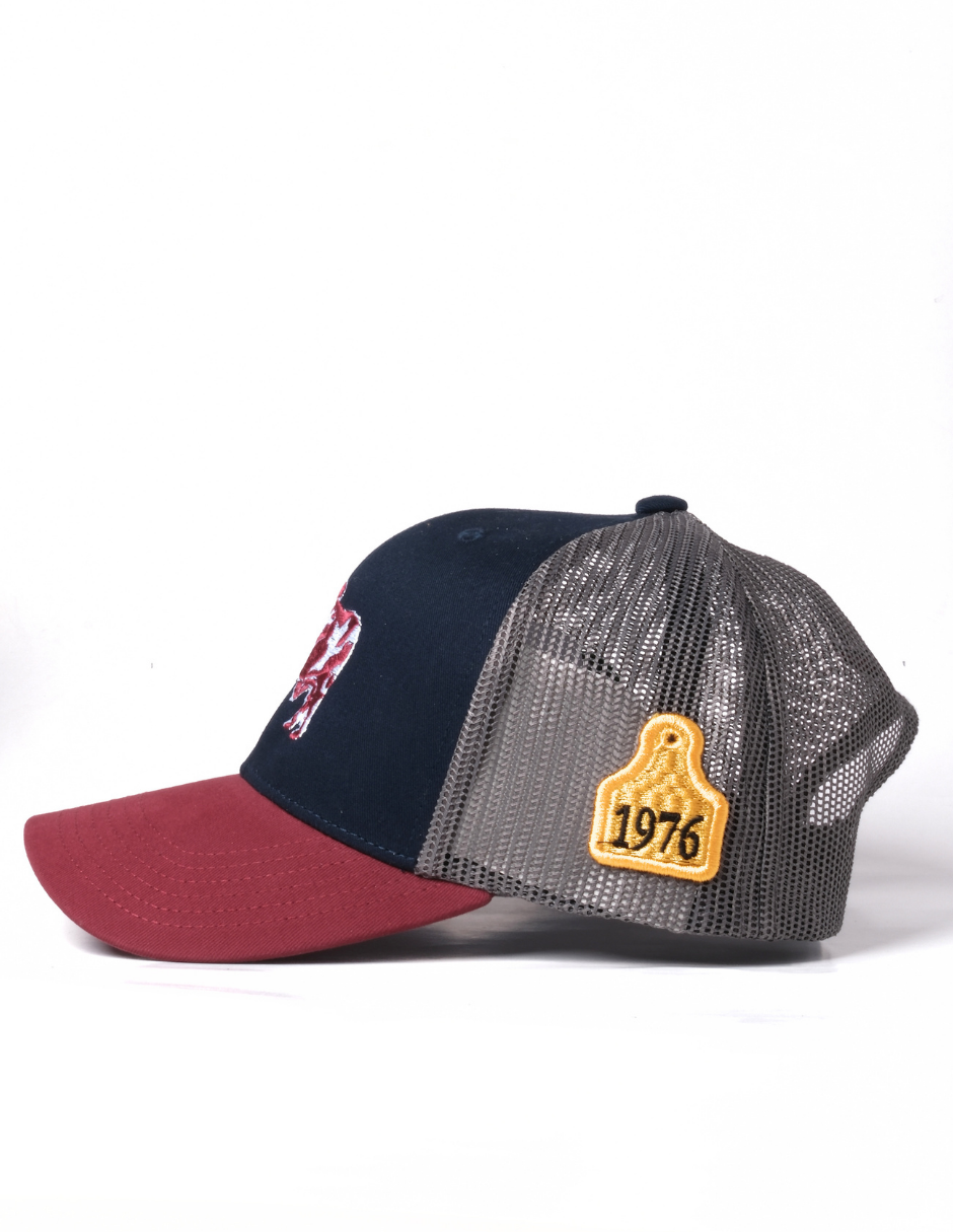 Chambero Cap 011